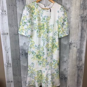 Calvin Klein NWT Shift Dress